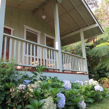 Carson'S Kaloko Mountain Cabin カイルア・コナ エクステリア 写真