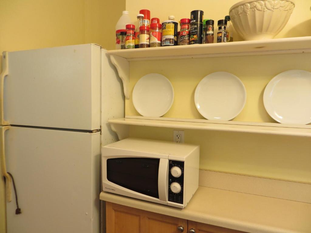 Carson'S Kaloko Mountain Cabin カイルア・コナ 部屋 写真