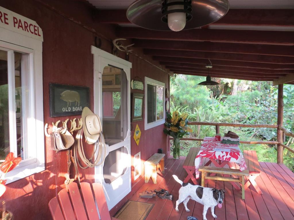 Carson'S Kaloko Mountain Cabin カイルア・コナ 部屋 写真